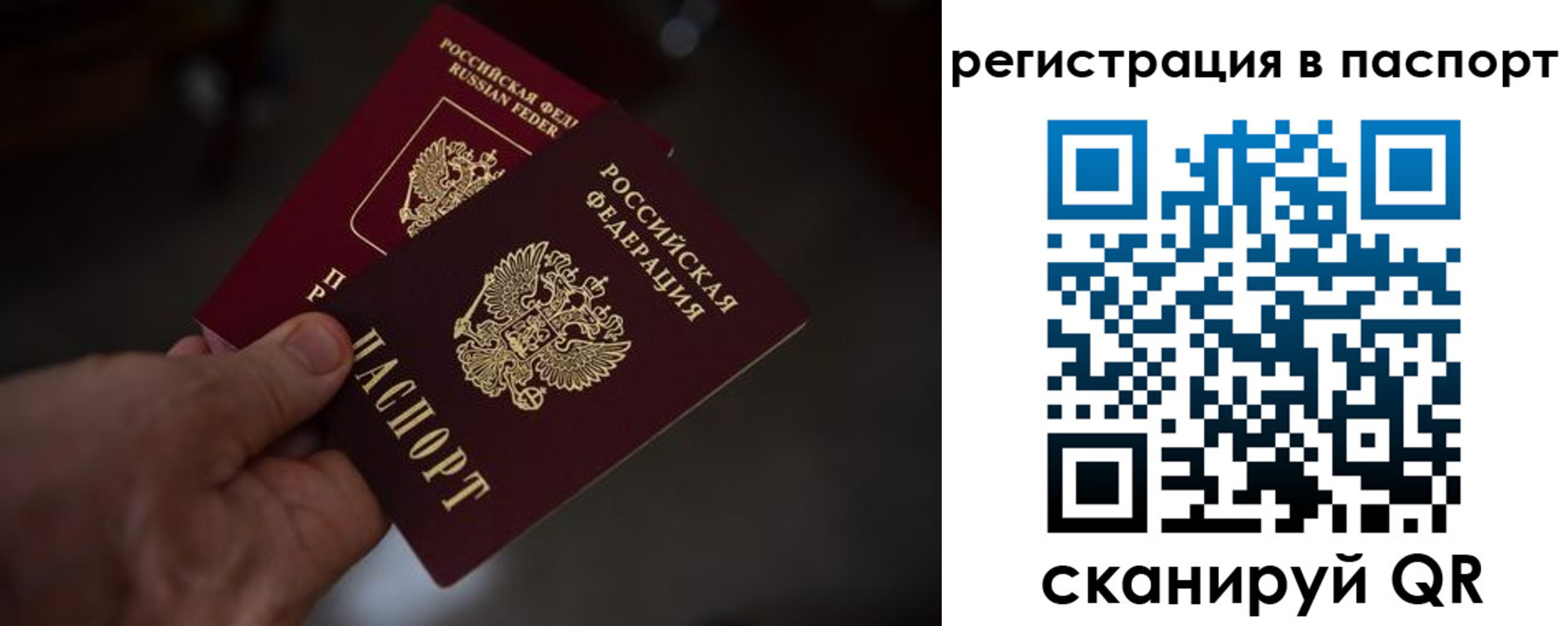 пропишу в квартире в Каменск-Шахтинском